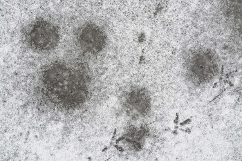 Топная / Описание*