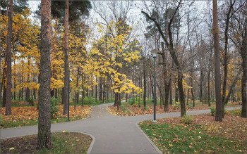 В пустынном парке... / ***