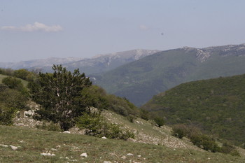 Крымские зарисовки / Крым