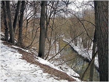 У Сетуни в начале весны / Река Сетунь 20.03.2021г.