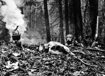 В ноябрьском лесу. / Интересно бывает посмотреть свои старые фотографии.