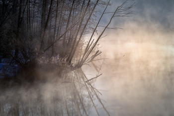 Туманно / Временами обычные виды на шатурских озерах приобретают сказочный облик. Тут хватает декораций для появления водяного со свитой.