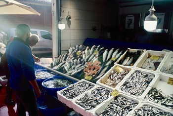 Рыбный рынок в Каракёе, Стамбул. / Я рыбу не ем, но атмосфера здесь приятная. Зайти, чтобы насладиться ароматом моря, почувствовать атмосферу истино восточного рынка, увидеть трудолюбивых рыбаков и разнообразие живых существ мраморного моря. Пленка Kodak Ektachrome 100.