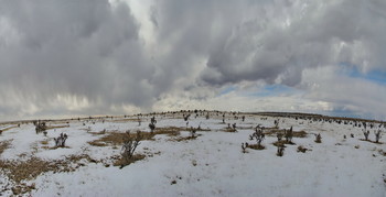подвалит снегу еще... / пустыня Нью-Мексикоб New Mexico desert, USA