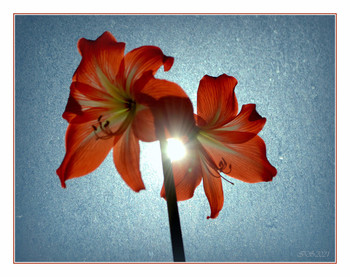 Весенние лучи / [img]https://i.imgur.com/Zh9wrRS.jpg[/img]