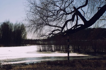  / весна