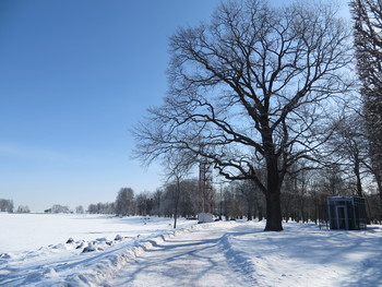 Петергоф. Весна / Петергоф, Нижний парк, берег Финского залива.