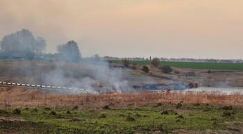Признаки весны / Весной часто можно встретить такую картину