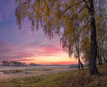 &nbsp; / Панорама