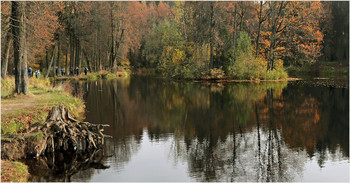 Осень в Середниково / Середниково , а вот и мой любимый пень, который стал &quot;свидетелем &quot; драмы на озере в сериале &quot;Угрюм-река&quot; .