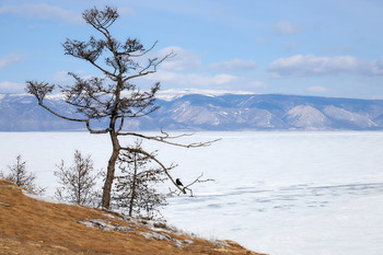 &nbsp; / Байкал, Малое Море. Конец марта.