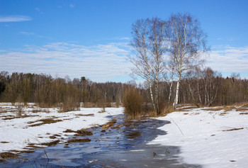 Весна / Весенние ручьи. Фрязино, Московская область