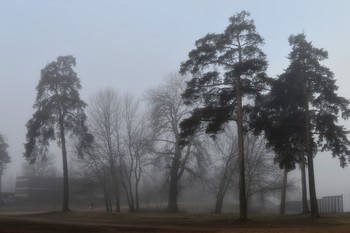 Утром туманным..... / Петербург. Озерки. Апрель