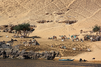 Отдых на берегу / Египет, берег Нила вблизи Асуана. 2010 г.