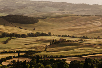 Tuscany view / ***