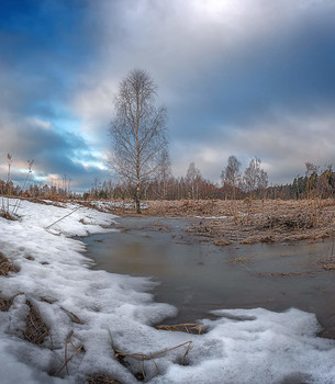 Весна / Панорама