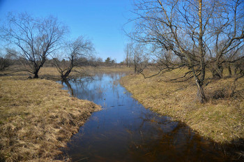 &nbsp; / весенняя вода