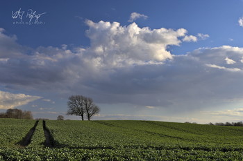 &nbsp; / Wolkenformation mit frischem Feld