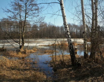 Посидели, отдохнули... / Д. Костино, Владимирская обл, 14. 04. 2021.