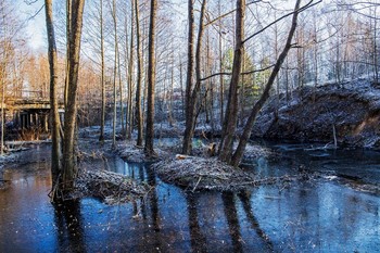 Морозное утро / река Сумка,п.Ильинское,Татарстан