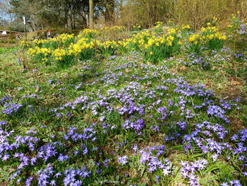 Planten un Blomen Hamburg / Слайд-шоу &quot;Парк цветов весной 2021&quot;

https://www.youtube.com/watch?v=rC5fOQuG-qg

Слайд-шоу &quot;Крокусы&quot;

https://www.youtube.com/watch?v=sKwg-6g1Xok

Dahliengarten Hamburg

https://www.youtube.com/watch?v=YIZZSauDE3w

Rosengarten. Planten un Blomen Hamburg:

https://www.youtube.com/watch?v=tKJmmXxh-1U&amp;t=8s

Слайд-шоу &quot;Парк цветов летом&quot;

https://www.youtube.com/watch?v=glVWjqRqZr0

Слайд-шоу &quot;Парк цветов весной&quot;

https://www.youtube.com/watch?v=kJVKlWcQxCg

Слайд-шоу &quot;Парк цветов осенью&quot;

https://www.youtube.com/watch?v=_Q7gRXGUa5A

Слайд-шоу &quot;Розы&quot;

https://www.youtube.com/watch?v=2jSTxDgGqsI

Слайд-шоу &quot;Цветы&quot;

https://www.youtube.com/watch?v=JYadETNgWMY