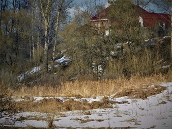 весна / весна у реки