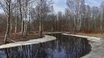 Весна... / Природа...