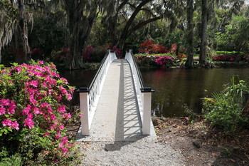Белый мостик на озере в Magnolia plantation, Charleston, South Carolina / ***