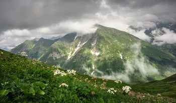 После дождя / В горах Кавказа