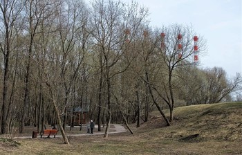 &nbsp; / Весна в старом городском парке