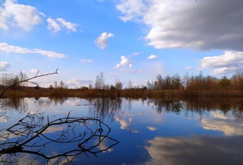 В реку смотрятся облака... / Весна, весна! как высоко На крыльях ветерка, Ласкаясь к солнечным лучам, Летают облака!