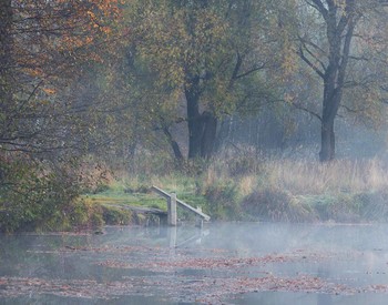 Осенние туманы / Конец октября, Подмосковье.