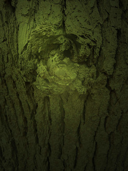 &nbsp; / Im Unbewussten