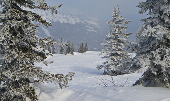 &nbsp; / уходящая зима...