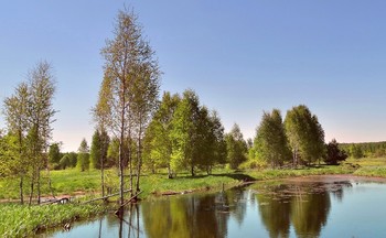 Ждём майского тепла и зелени / Ждём майского тепла и зелени