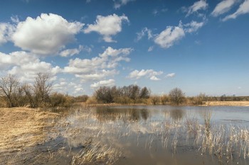 Свежо / Разлив Вятки