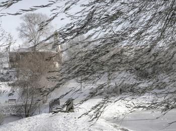 пейзаж с ветром / зима. ветер, Москва, парк Свиблово