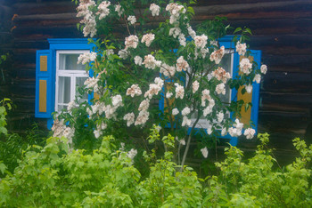 Домик окнами в сад-2 / весна в деревне