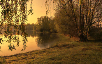 Утром на озере / ***