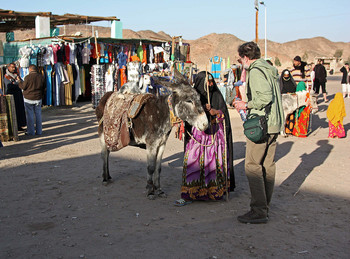 Купи козу! / На придорожном рынке близ Луксора. Египет 2010 г.
