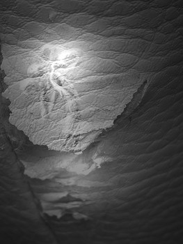   / Verloren in der Textur