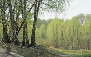 Нежная зелень апреля... / &quot;Сухой пруд&quot; в парке Кусково...