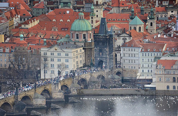 лебединое нашествие / Прага, весна