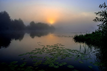 Летнее утро августа. / Озеро Сосновое.