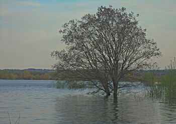 По &quot;колено&quot; в воде. / &quot; &quot; &quot;