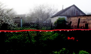 &nbsp; / После ночного дождя... Туман и капельки - дождинки...