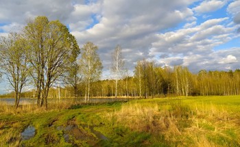 Весна идет / Весне дорогу