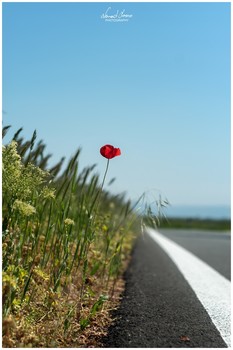 &nbsp; / Somewhere along the road in Serbia.