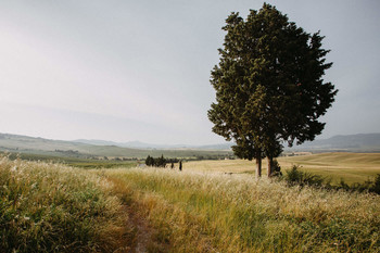 Tuscany / ***