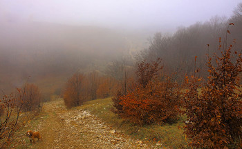Долина реки Суат / Крым. Караби. Осень